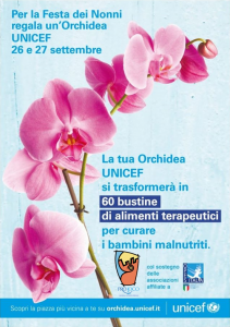 orchidea1